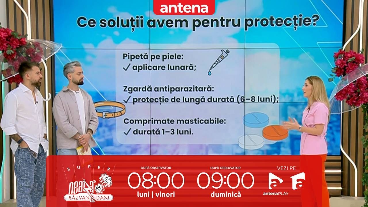 Ghid de protecție împotriva căpușelor | Sfaturile medicului veterinar Andreea Guda