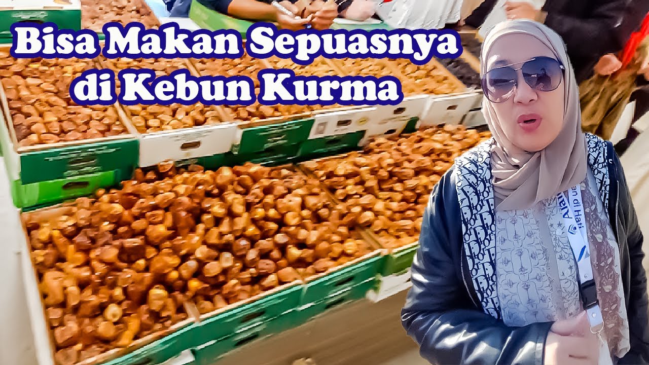 SUASANA DI KEBUN KURMA  ‼️ MAKKAH ‼️  ARAB SAUDI