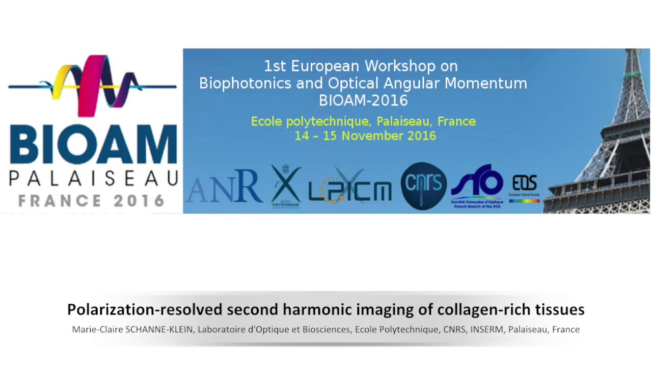 BIOAM 2016 18 Polarization resolved second harmonic imaging of collagen rich tissues