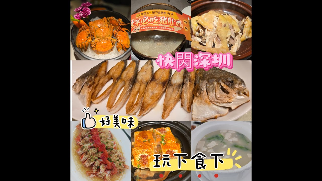 快閃深圳2025