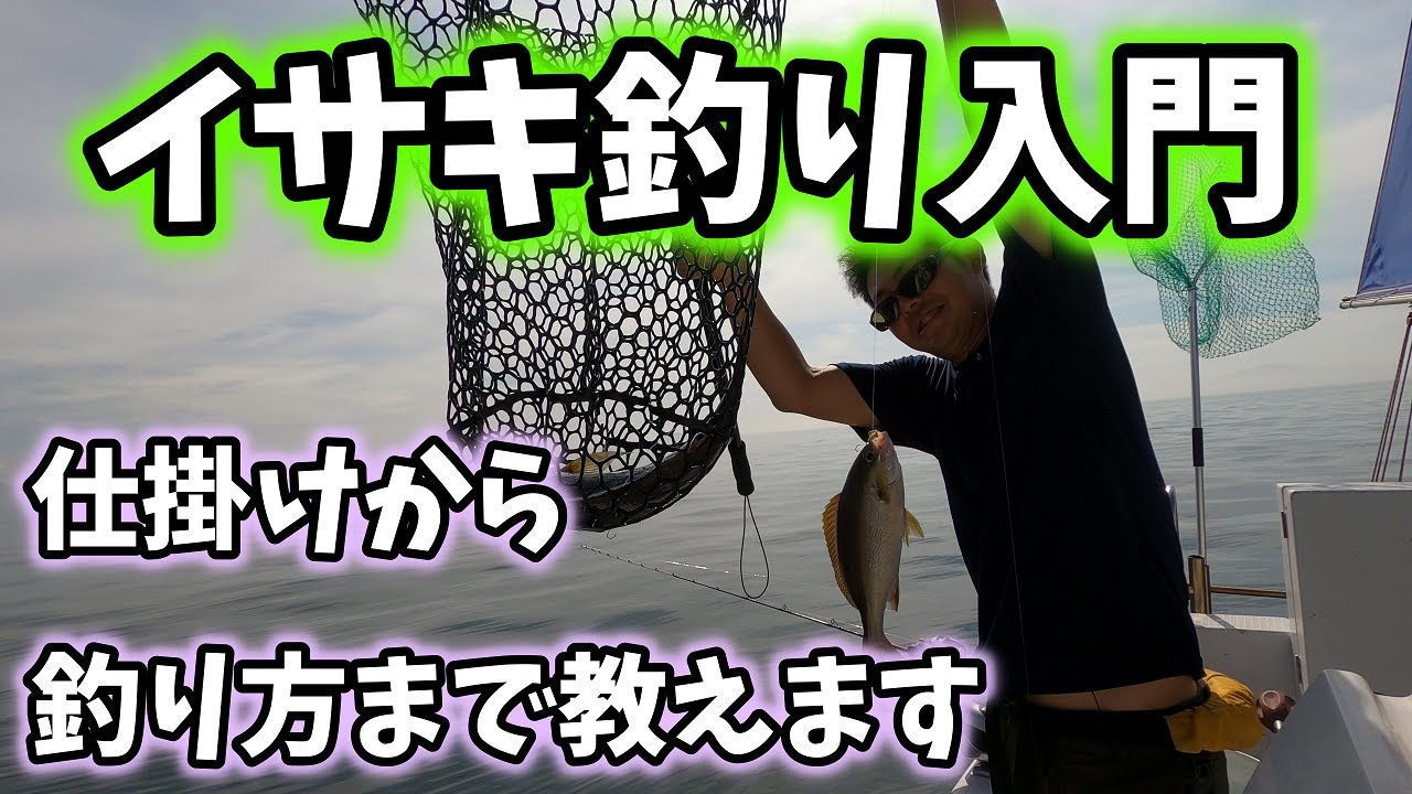 【イサキ　釣り方】イサキカゴ釣り入門