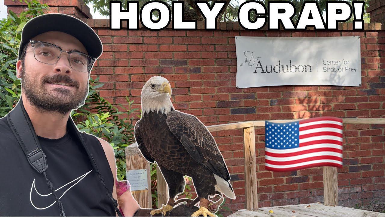 I MET A BALD EAGLE!!! - Central Florida Zoo + Audubon Birds of Prey - Orlando Trip Day 3 Vlog #131