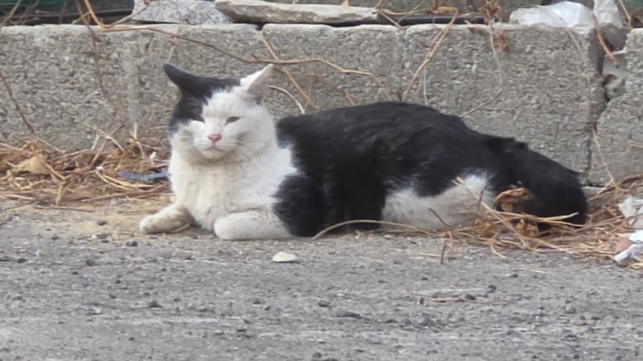 병원