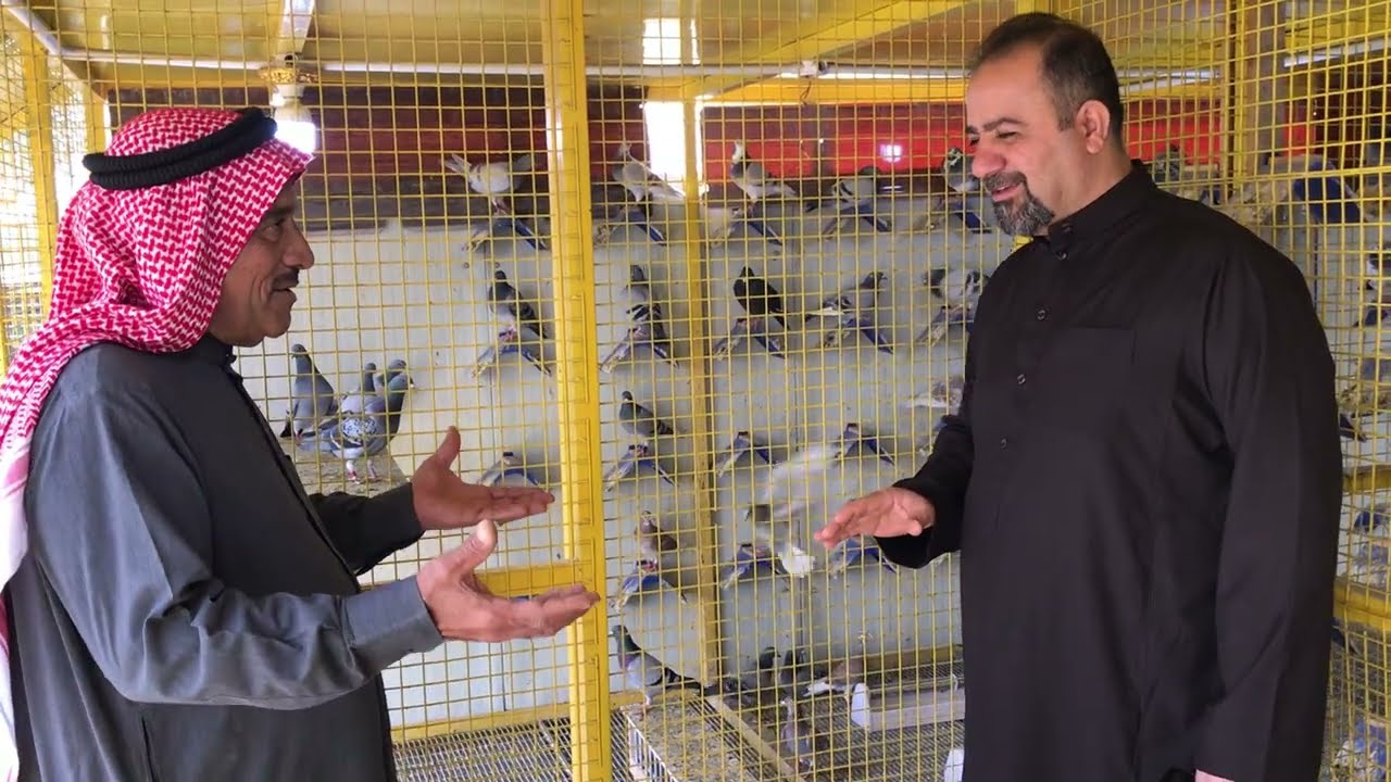 سهيل المبارك في بيت ابو نشوان في ابي الخصيب تصوير لوفت الحمام للسباق