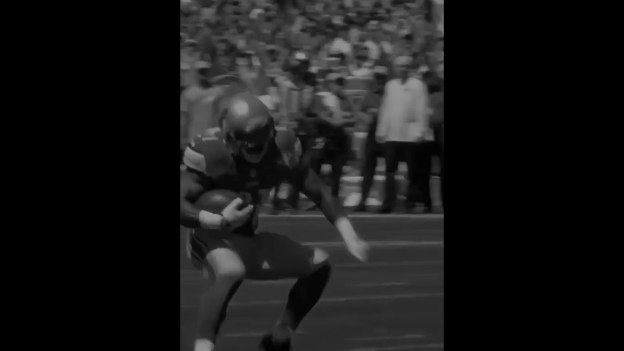 Finding Your Purpose: Your Why for Success #shorts #FindYourWhy #PurposeDriven #SuccessMindset