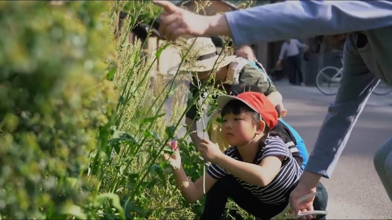 UNESCO | Aprendendo sobre sustentabilidade com o interior do Japão