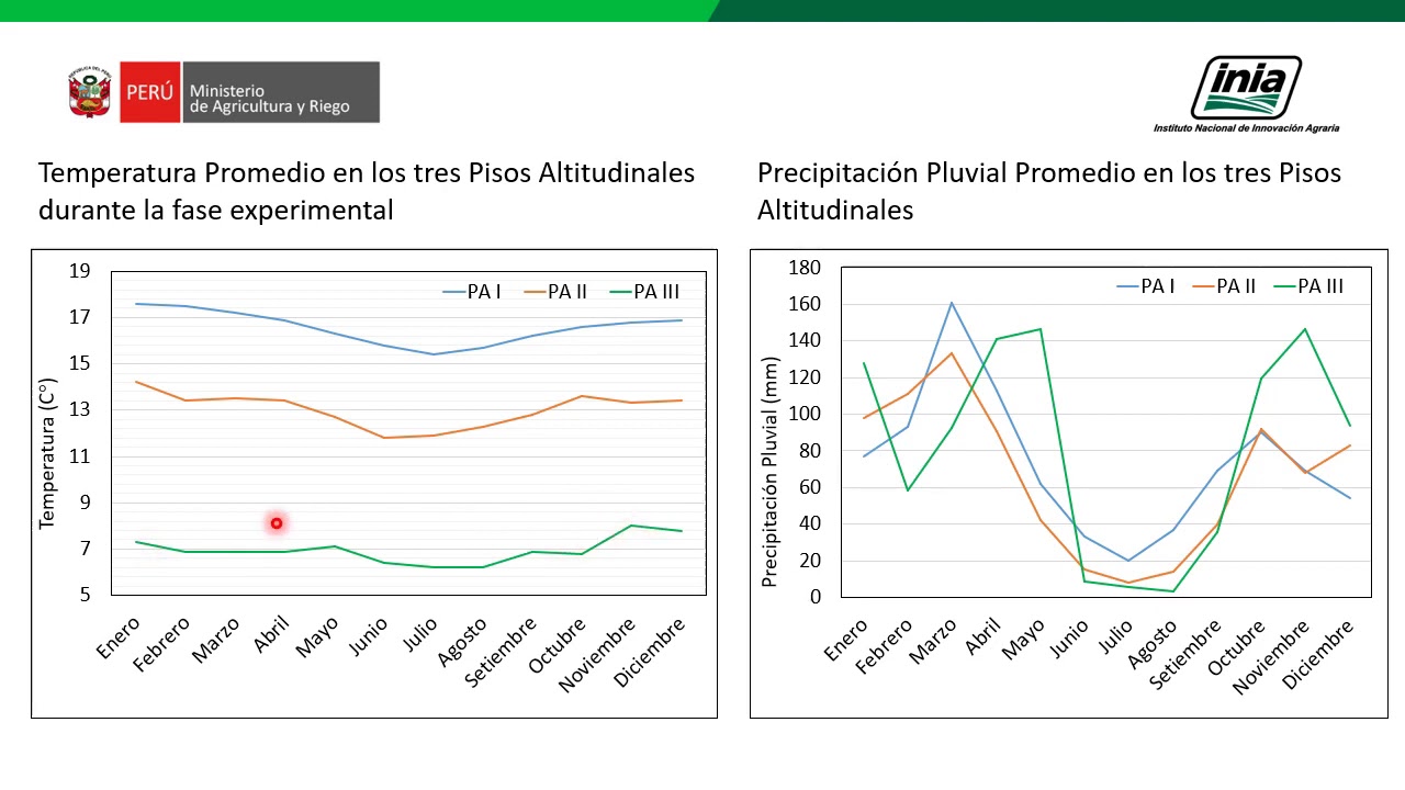 Rendimiento y valor nutricional de 22 genotipos de Lolium spp. en tres pisos altoandinos