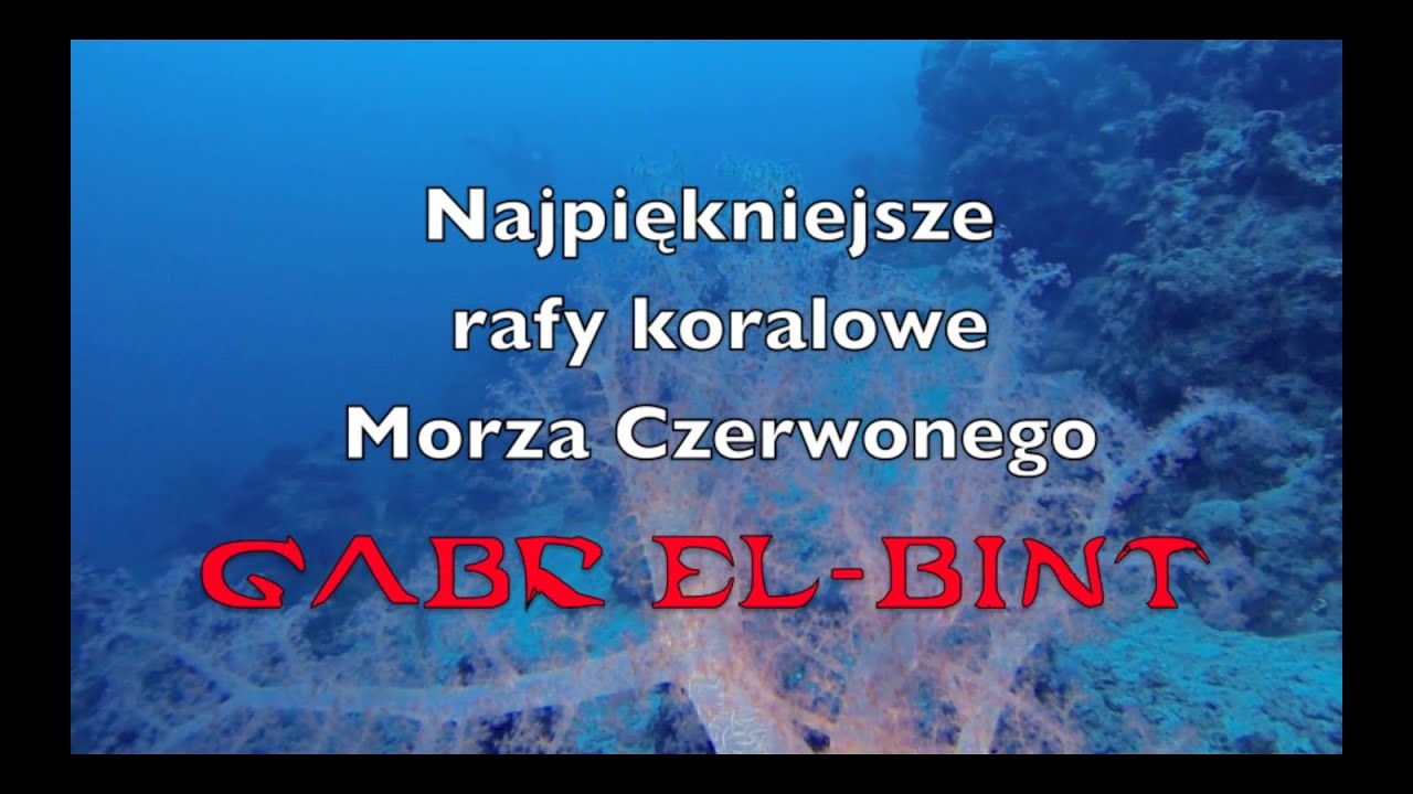 Nurkowanie rebreatherowe Dahab Gabr-el-Bint ALPHA-DIVERS 2014