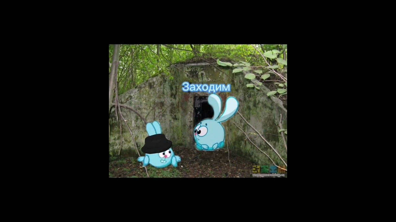 все видео вируса 1 сезона