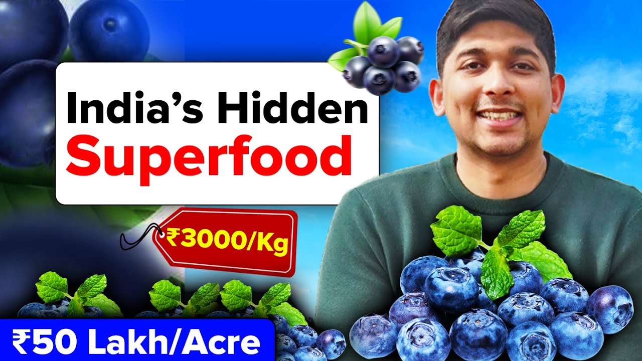 Farmers are hiding this SUPERFOOD from you! Agri Lens