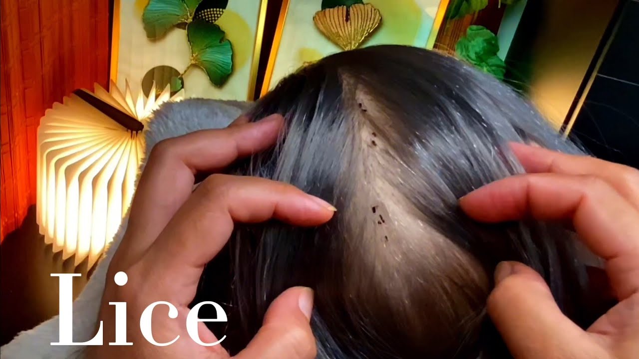 ASMR Satisfying, Lice Removal | No Talking 😴🥱💤