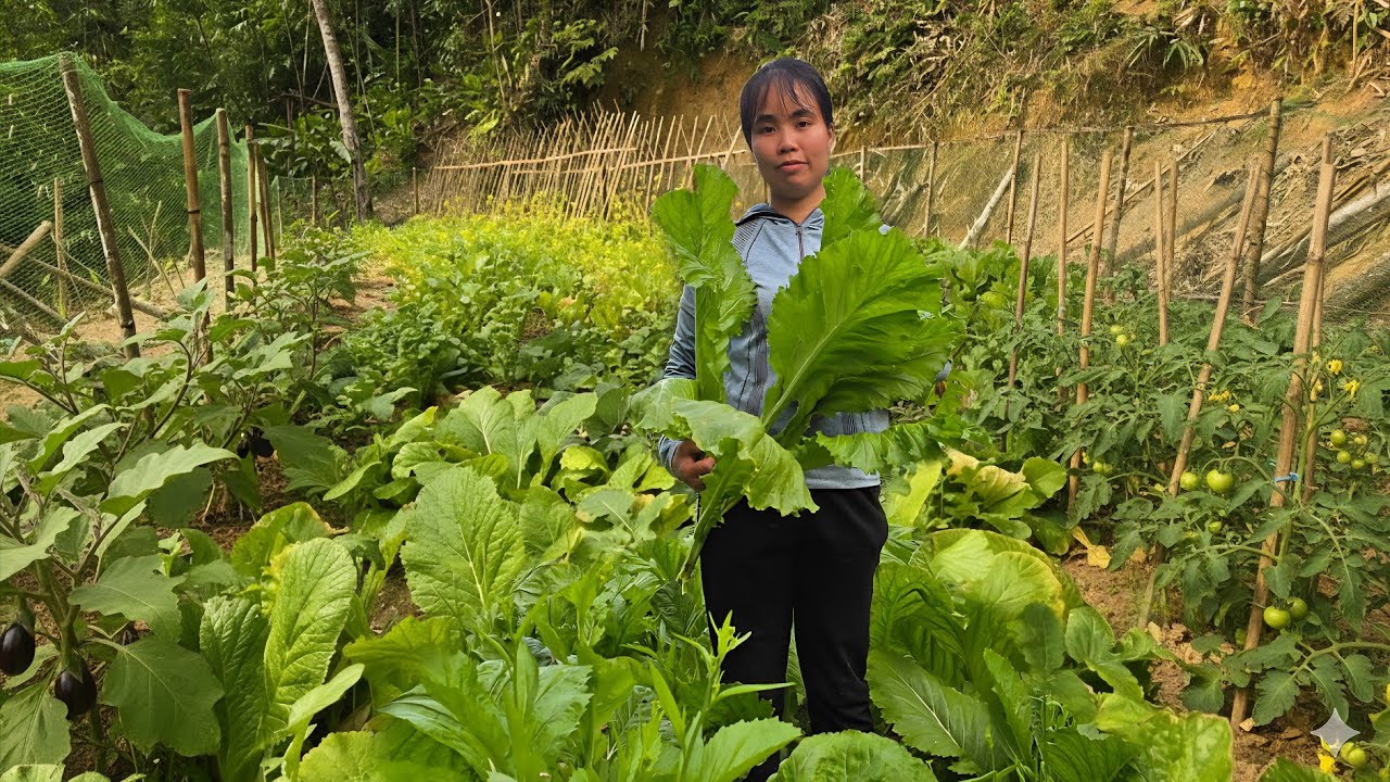 60 Days of farm life in the forest, Gardening, farming, cooking, Animal care