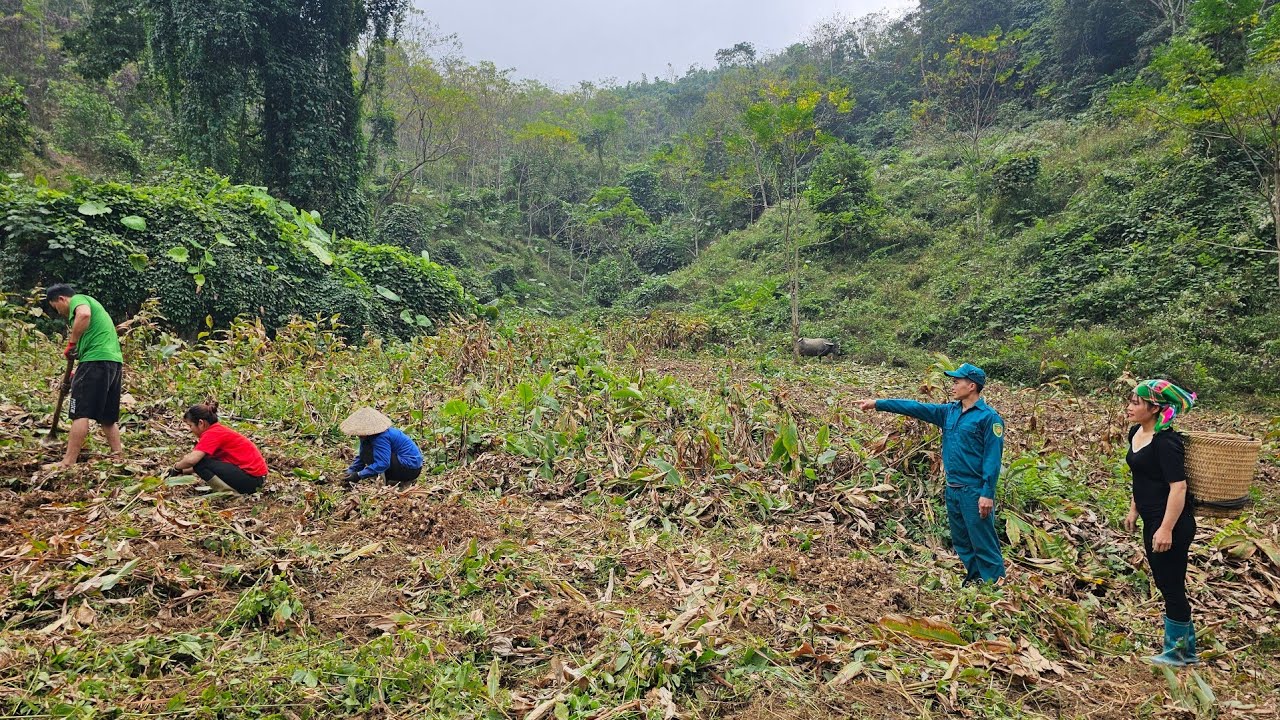 The woman helped the police harvest cassava and take care of the goats.