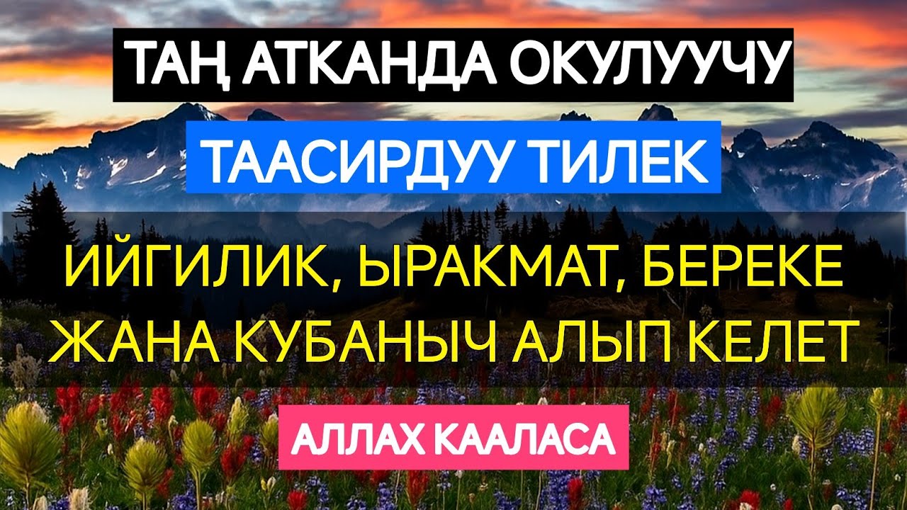 БУЛ ДУБА СИЗГЕ БЕРЕКЕ МЕНЕН ИЙГИЛИК ТАРТУУЛАЙТ. ИН ШАА АЛЛАХ