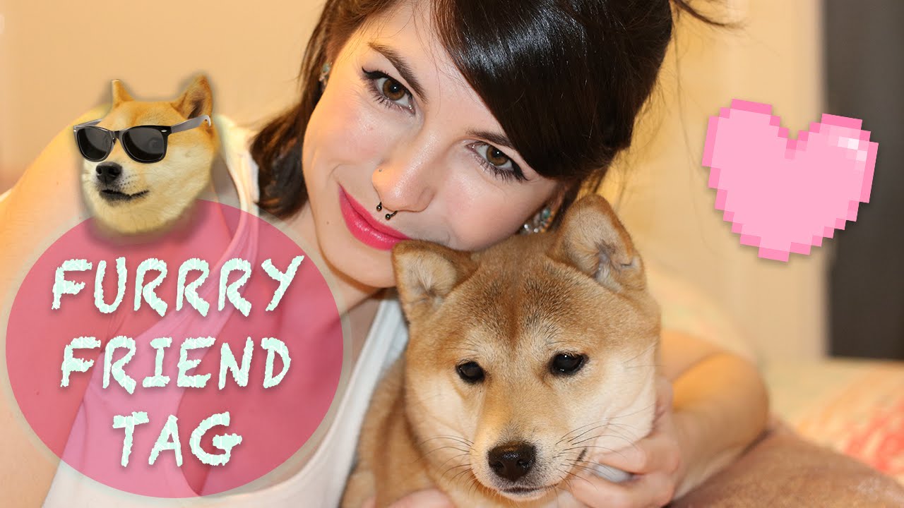 TAG DE LA MASCOTA | Furry Friend TAG | AniPills