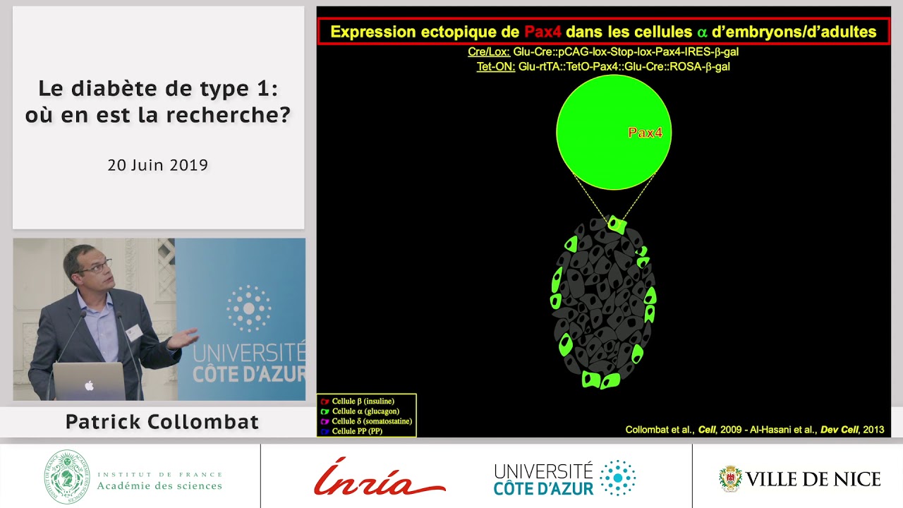 [Conférence] P. COLLOMBAT - Le diabète de type 1 : où en est la recherche ?