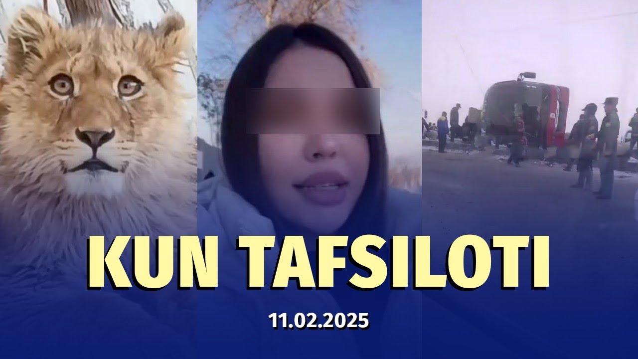 Samarqandda toygan avtobus va uyda saqlangan sher bolasi — 11 fevral dayjesti