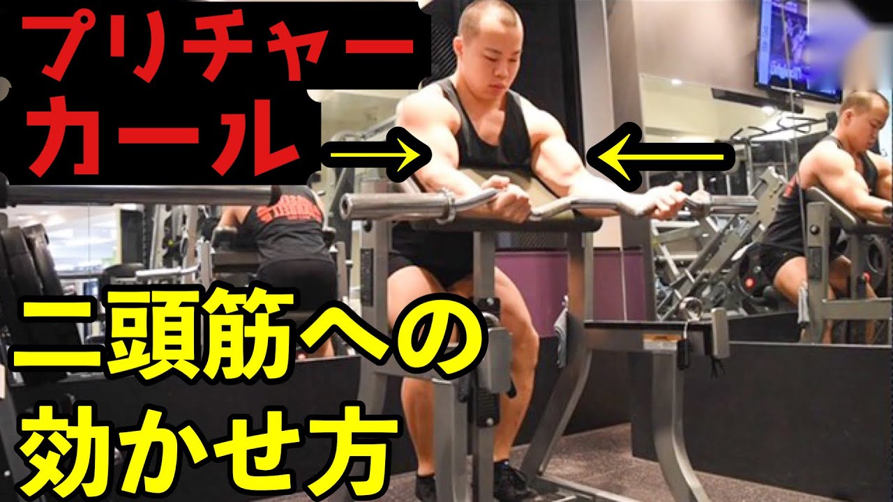【プリチャーカール】効果ない悩みが解決！上腕二頭筋に効かせるやり方のコツを解説