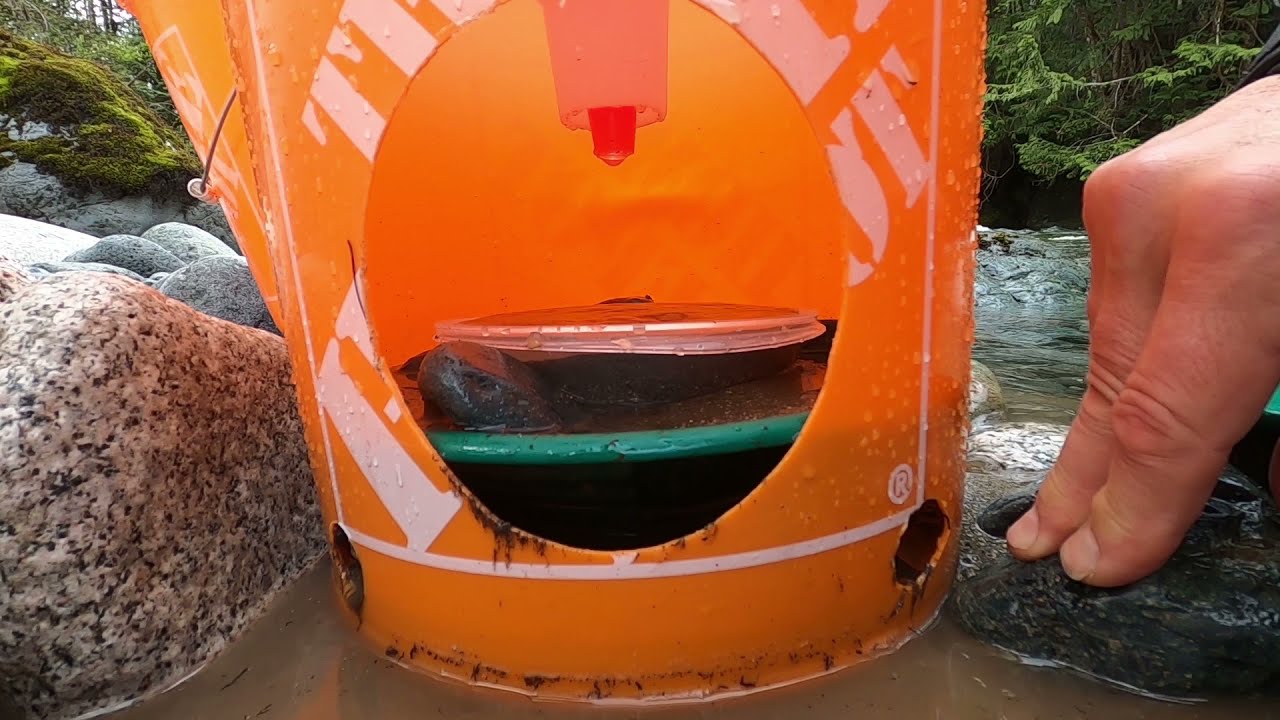 New Sluice Bucky
