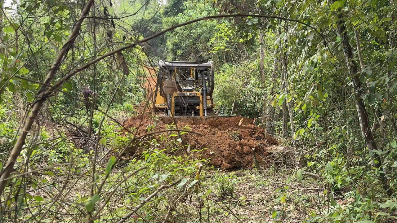 Old Road Bulldozer D6R XL Service, Investment for Durable Plantation Roads