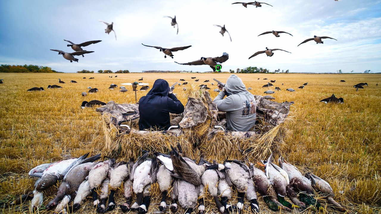 2 GUYS 30 BIRDS PLUS A BAND!