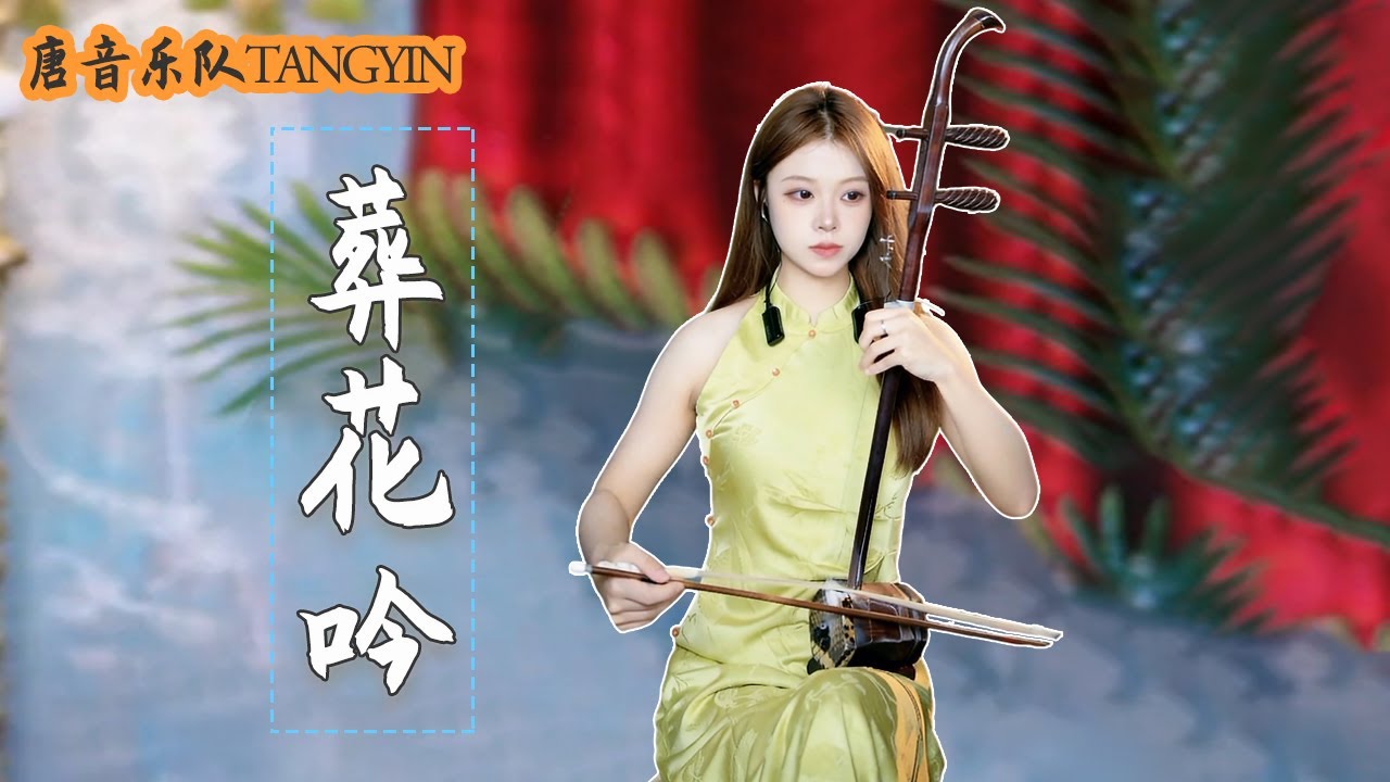 二胡Erhu【ZangHuayin葬花吟】陳瑞 - Cover by Peiyao | 二胡Erhu 竹笛Dizi 古箏Guzheng Tangyin Chinese Music【唐音樂隊】