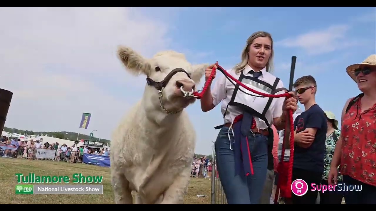 Tullamore Show 2022 - FBD National Livestock Show - Agricultural Show Ireland