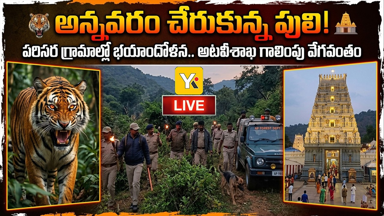 🔴Live: Tiger Alert in Annavaram | గ్రామాల్లో తిరుగుతున్నపెద్దపులి - ప్రజల్లో భయం | YK TV