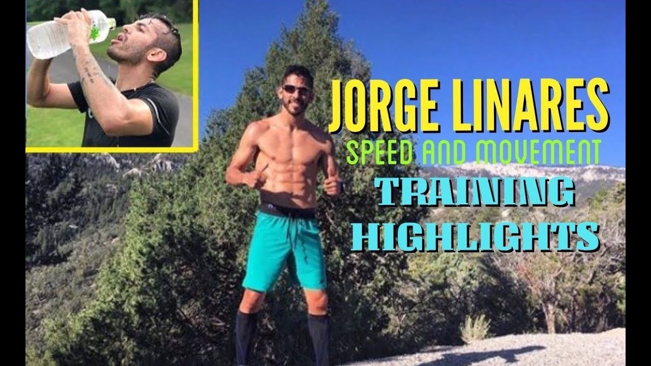 Jorge Linares Speed and Movement Training Highlights | Training World