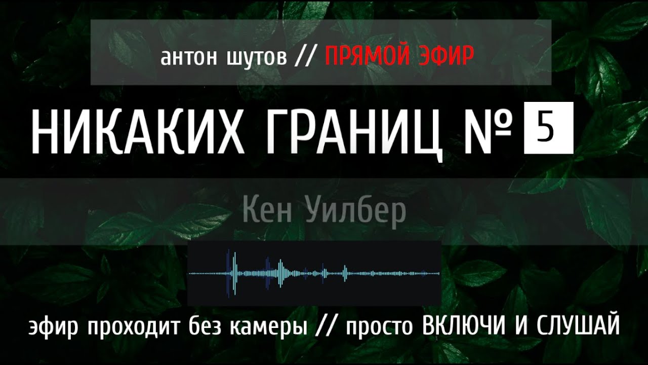 [ НИКАКИХ ГРАНИЦ ] (Кен Уилбер) № 5 - живое чтение