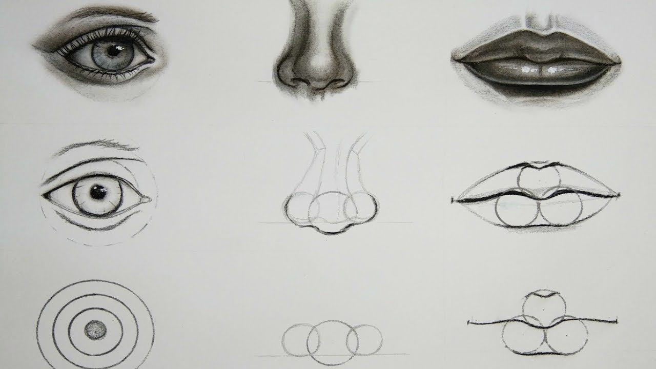 How to draw body part from loomis method | 3 parts draw easy way | loomis method drawing