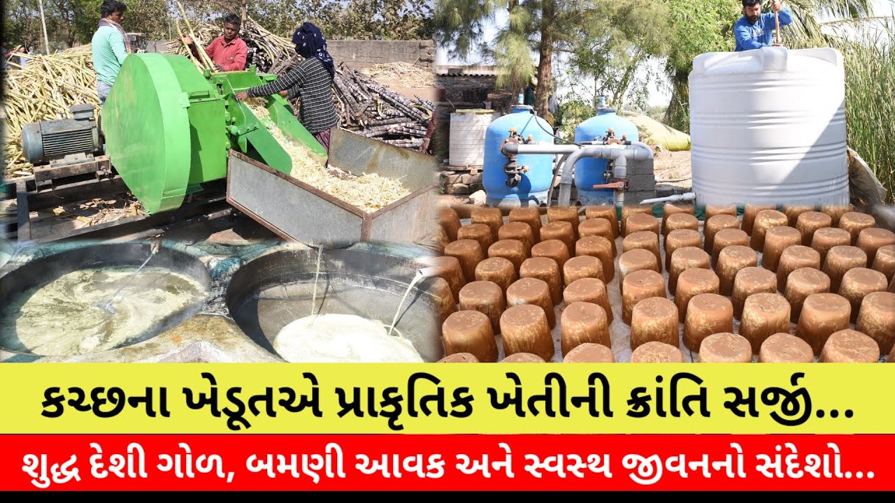 #કચ્છના ખેડૂતએ પ્રાકૃતિક ખેતીની ક્રાંતિ સર્જી : શુદ્ધ દેશી ગોળ, બમણી આવક અને સ્વસ્થ જીવનનો સંદેશો...