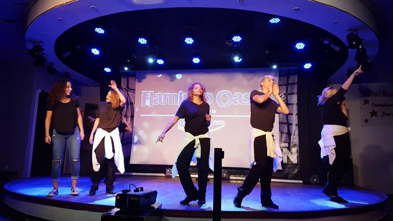 Flamingo Oasis Song 2016