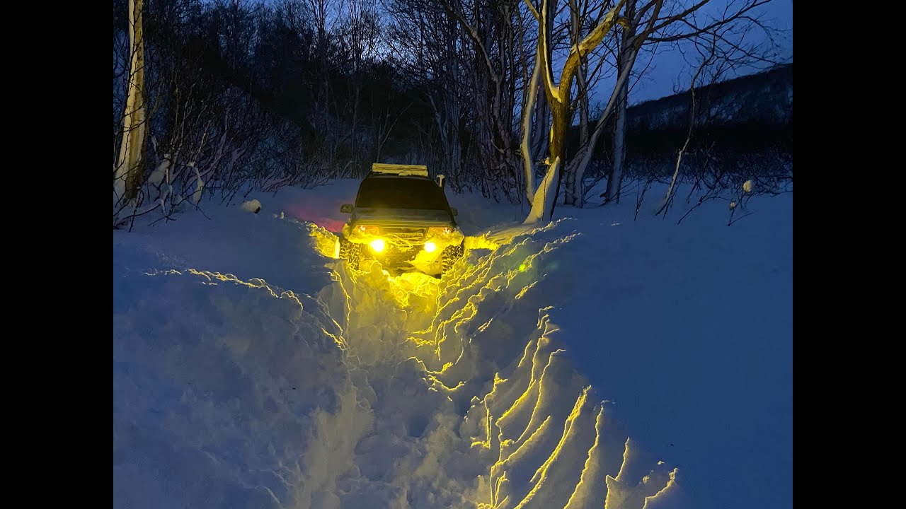 Вырваться из снежного плена или спасти рядового Барсика