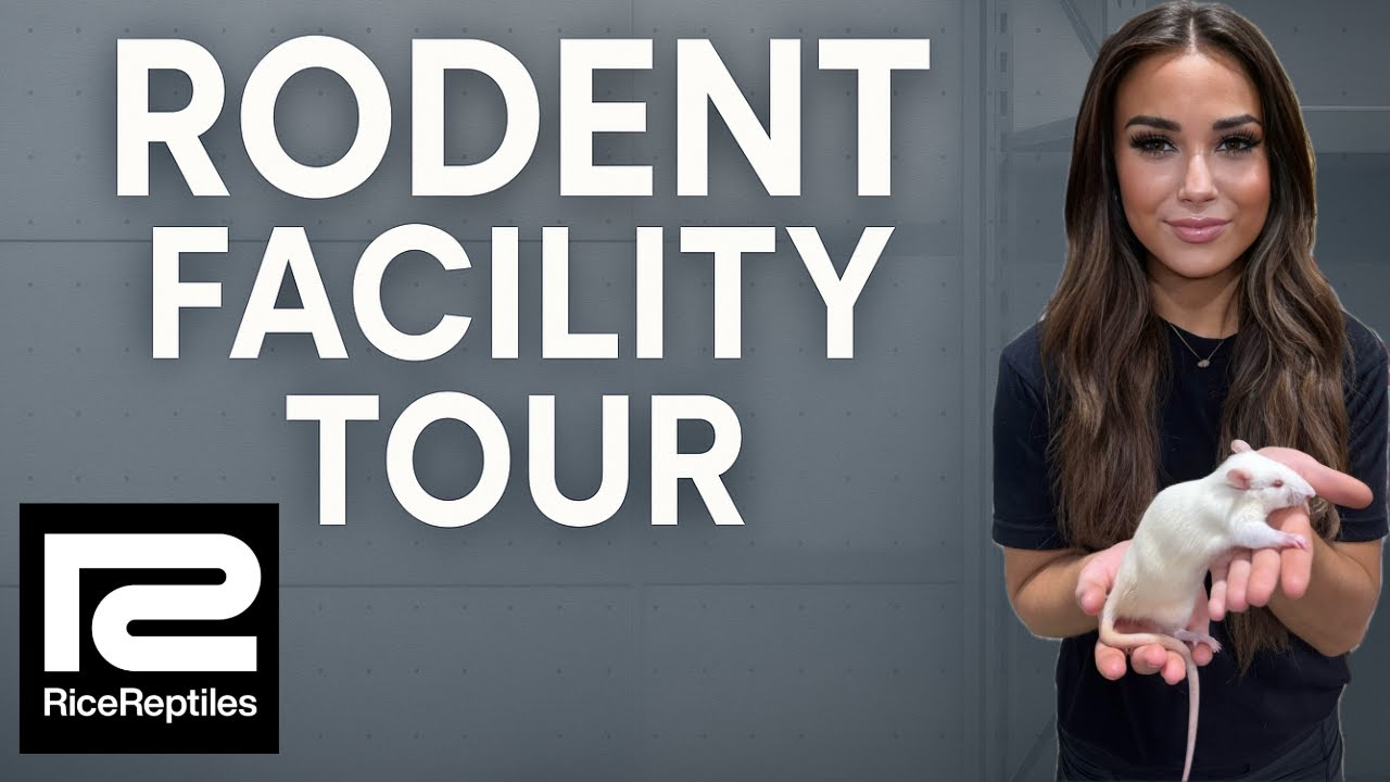 Rodent Facility Tour