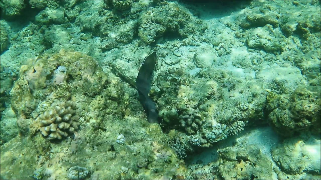 Maldives 2018 5