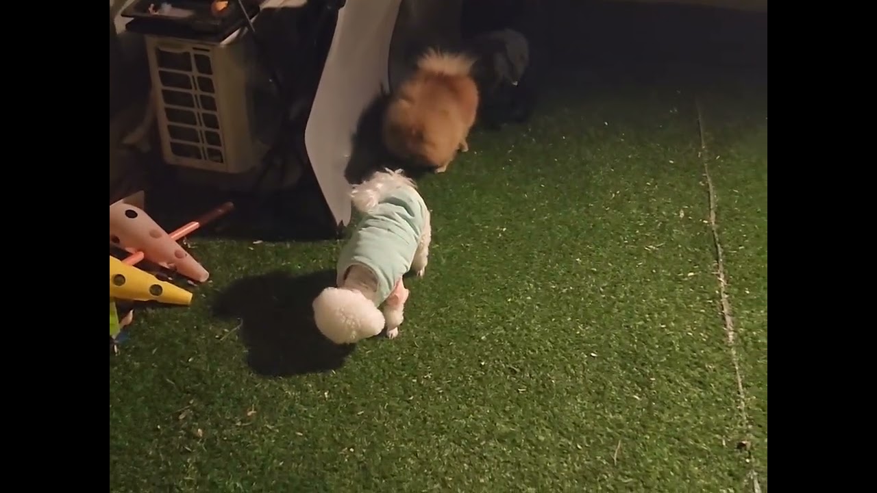 수요일 새벽 기상 