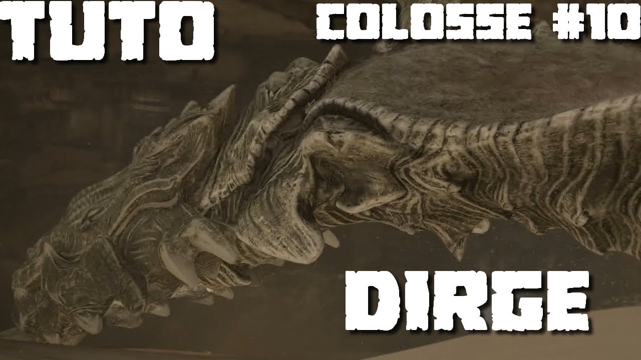 Tuto FR Colosse #10 DIRGE (Normal / Time Attack) SHADOW OF THE COLOSSUS (REMASTERED)
