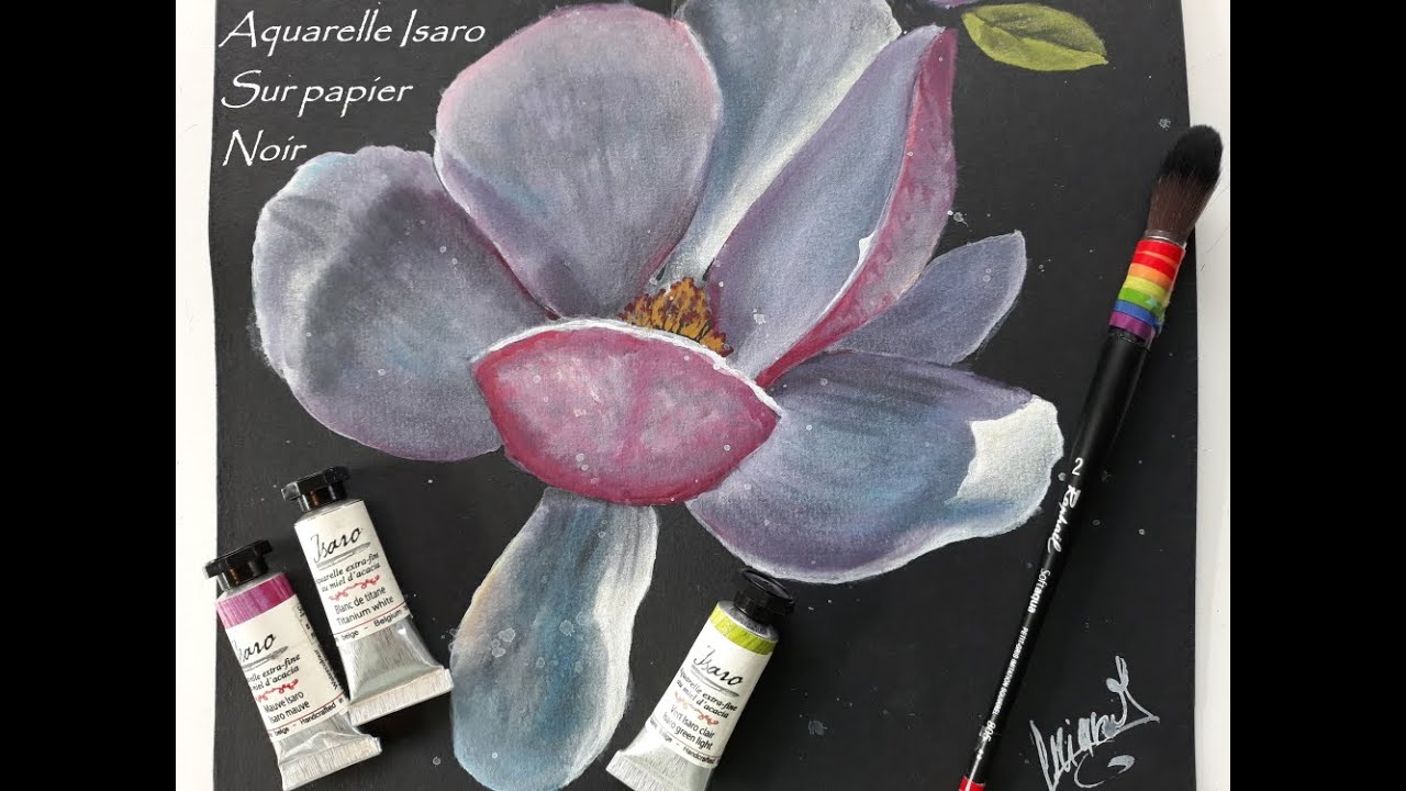 Aquarelle Isaro sur papier noir