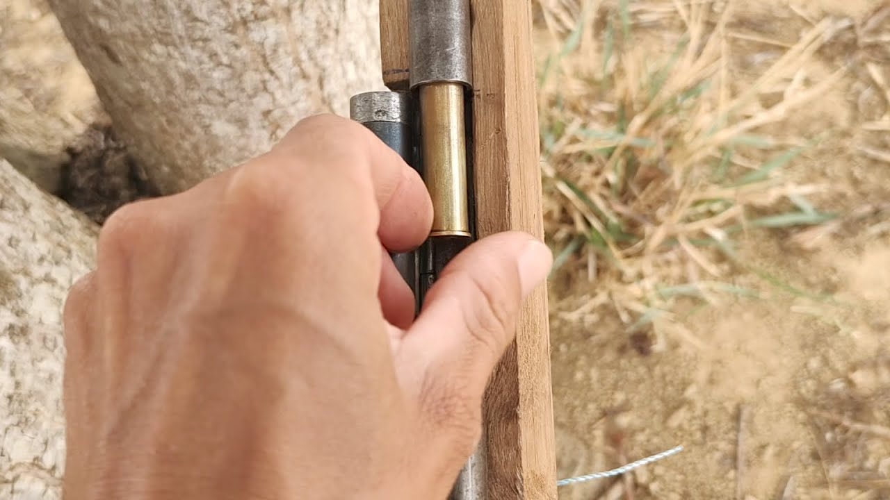 Primeiros testes da 36 rabo de cutia