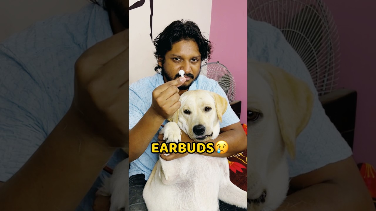 Pogo Earbuds Nigal Liya😢😢 