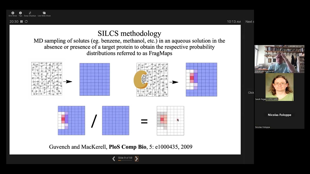 SILCS