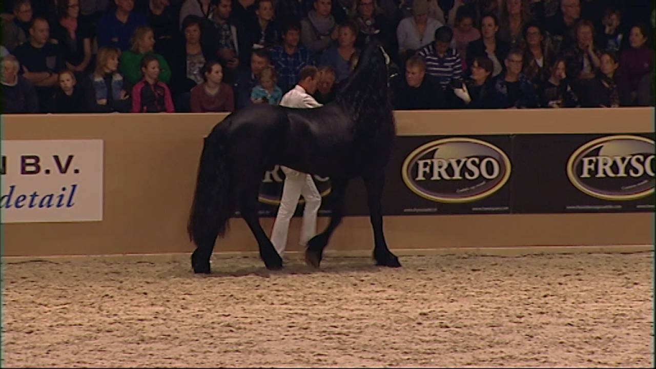 KFPS Hengstenkeuring 2016 Kampioenschap jonge hengsten