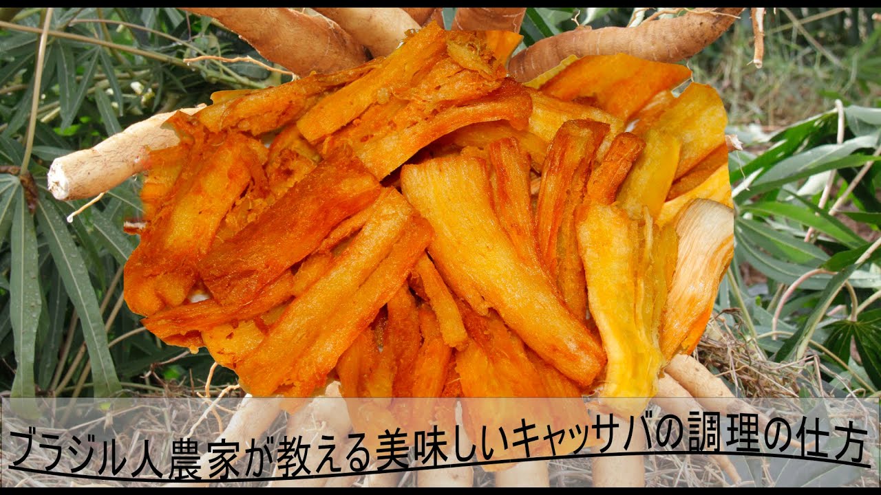 ブラジル人農家が教える美味しいキャッサバの調理の仕方