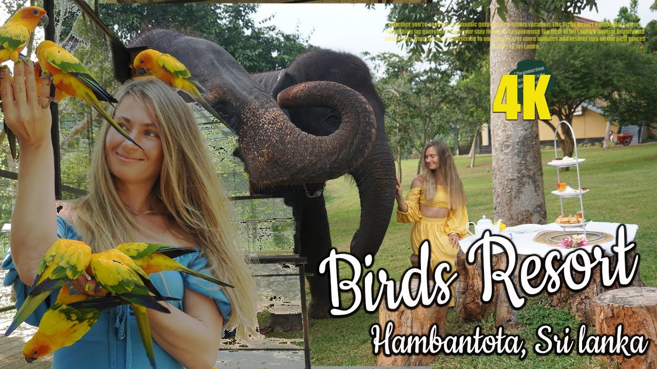 Birds Resort - Hambantota  