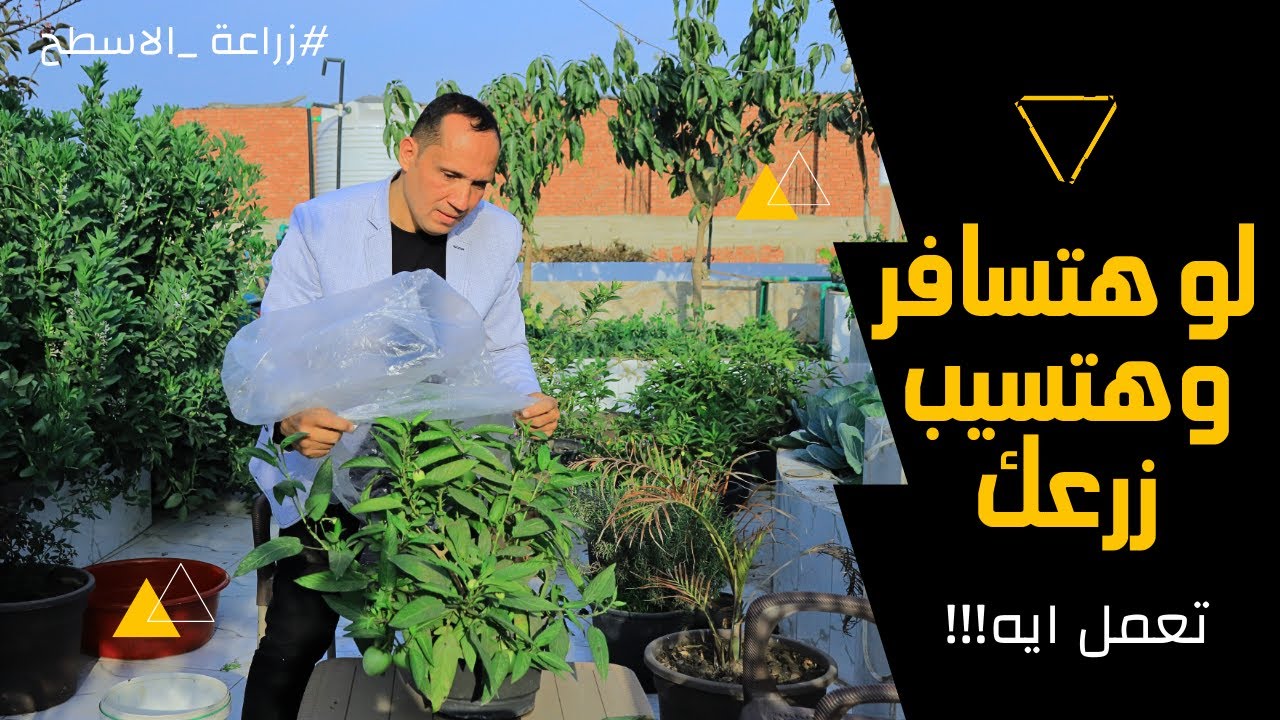 حل المشكلة الكبري  ري الزرع اثناء السفر بخطوات علمية بسيطة سافر واطمئن علي زرعك