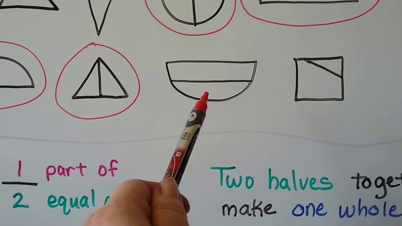 Grade 1 Math 12.9, Halves