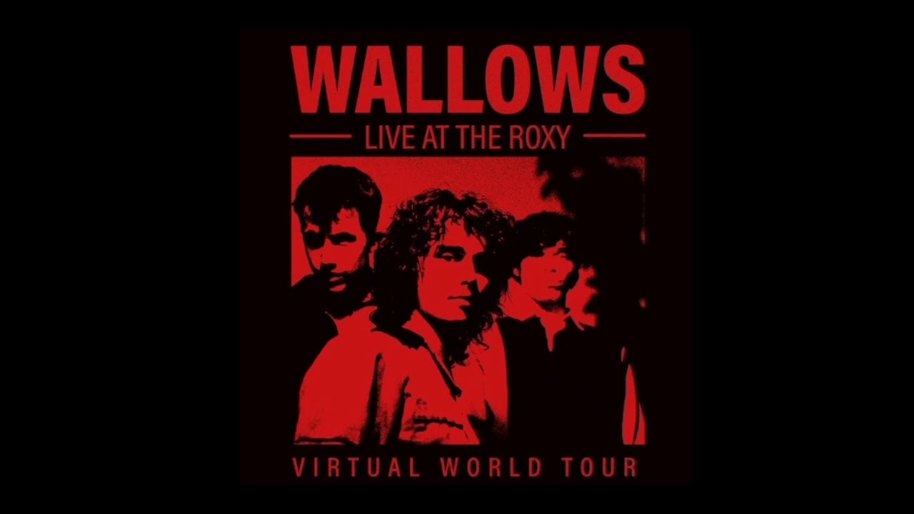 Wallows - Sidelines // Live At The Roxy