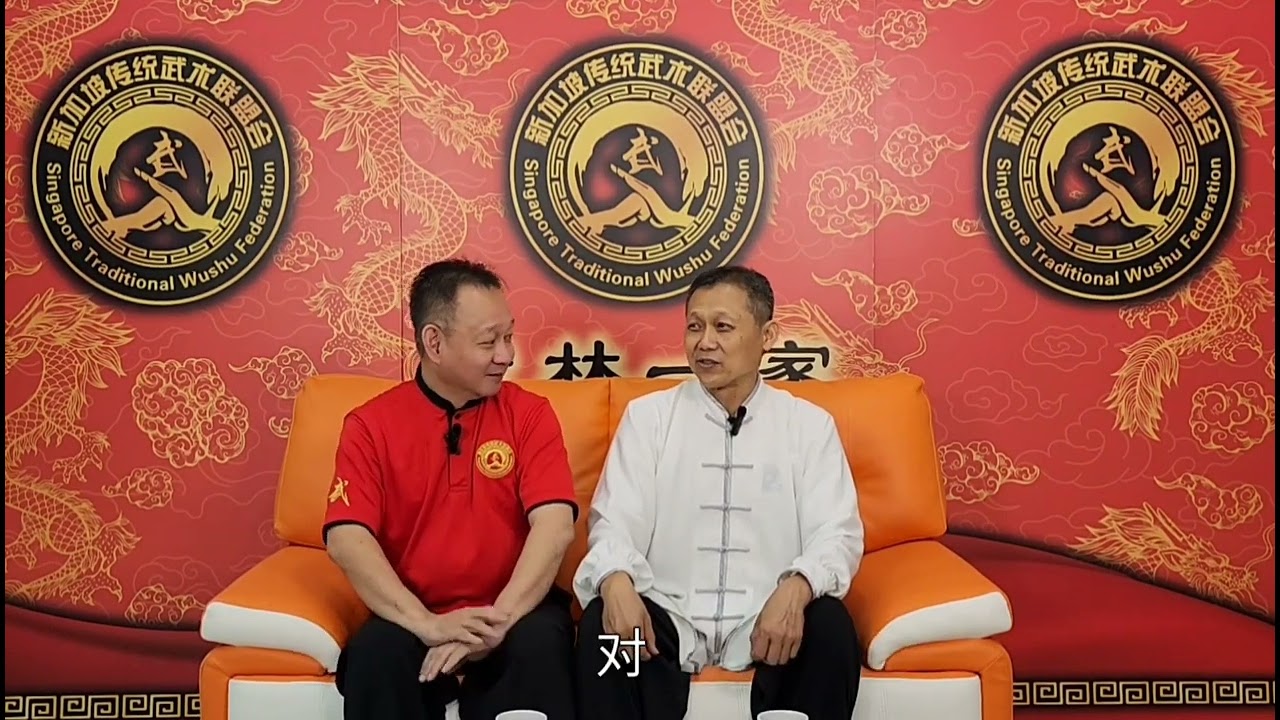 传承系列-形意与八卦#新加坡 #传统文化 #武术 #传统武术 #洪拳 #太极拳 #八卦掌