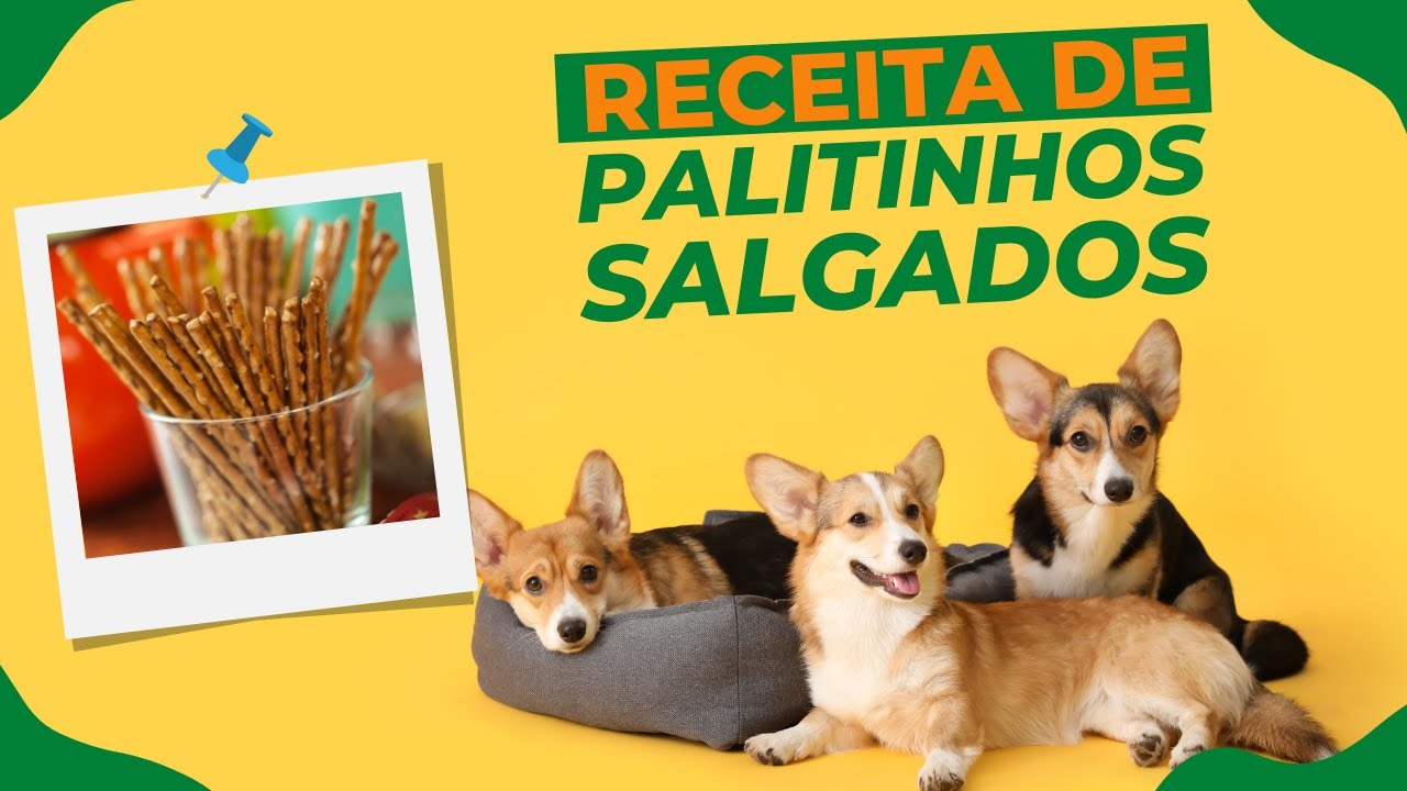 Receitas de petisco para cachorro - Palitinhos Salgados | CãoFeitaria Fit